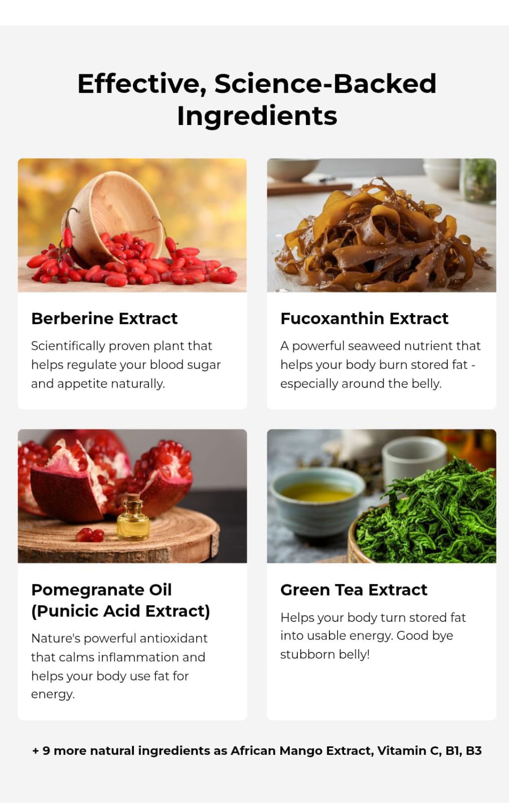 Purisaki Berberine Patches natural ingredient blend keto supplement composition